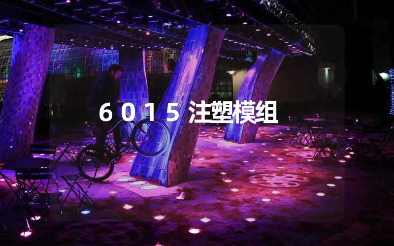 6015注塑模组 